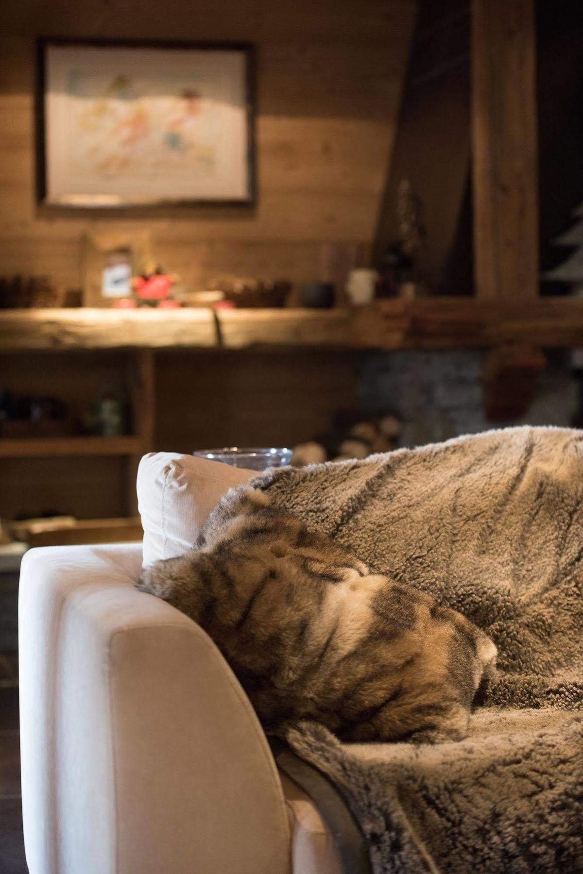 Cgh Residences & Spas Le Ruitor Sainte-Foy-Tarentaise Kültér fotó